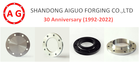 AG Flange - 30주년 카니발 프로모션!